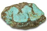 Polished Turquoise Specimen - Number Mine, Carlin, NV #260512-1